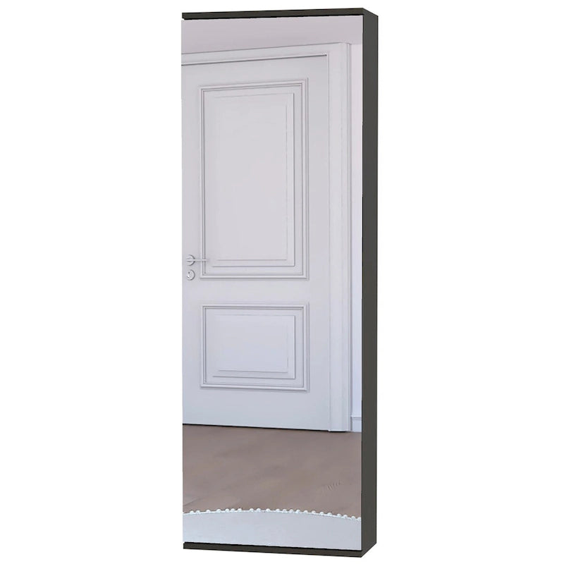 Wall Mounted Shoe Rack With Mirror, Single Door, Black Wengue Finish